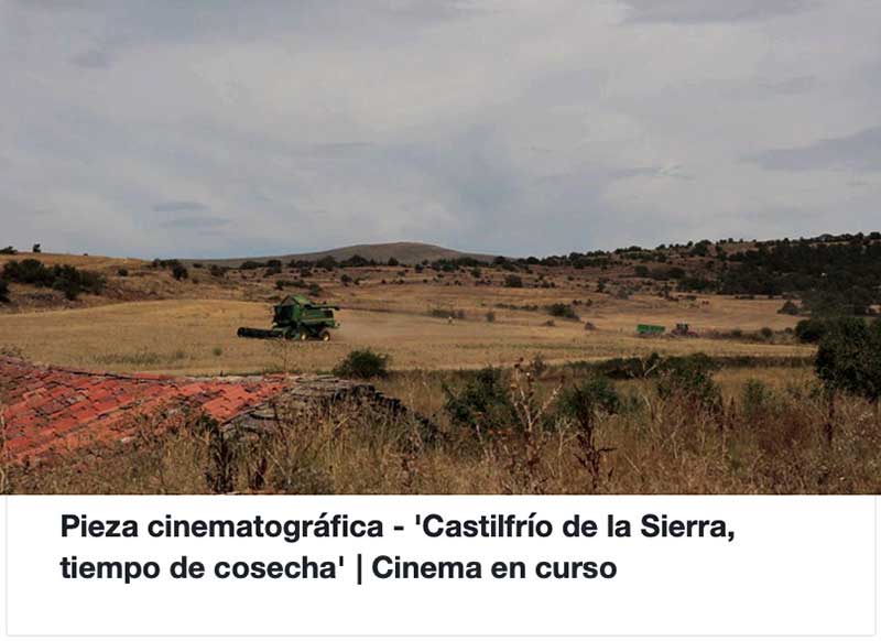 Cultivar la memoria