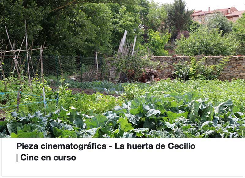 Cultivar la memoria
